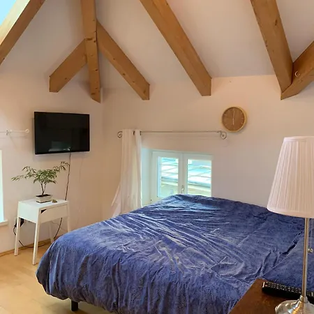 Apartment Sunflower House *