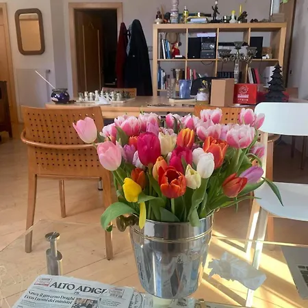 Sunflower House * Bozen