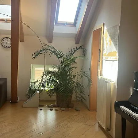 Apartment Sunflower House *