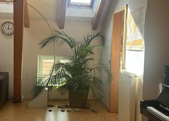 Διαμέρισμα Sunflower House *